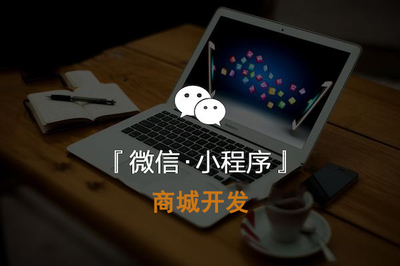 商城小程序开发的价值体现在哪里?|天津小程序开发- 【天津文率科技有限 .